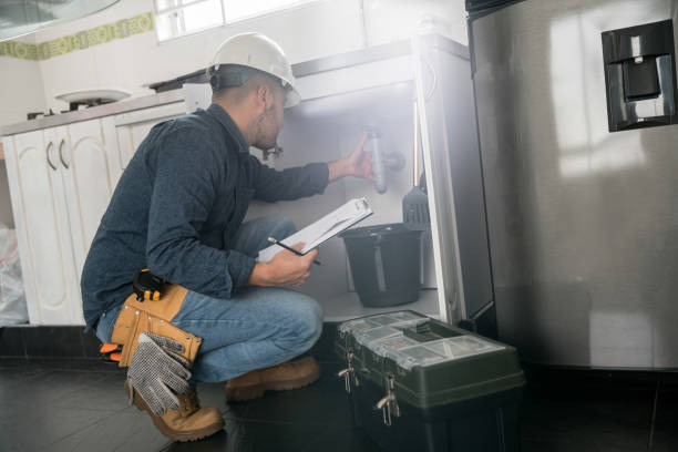 Best Affordable Plumber Near Me  in Lake In The Hls, IL