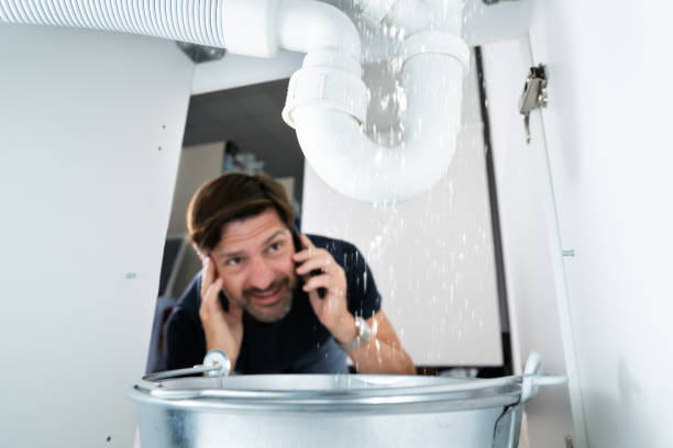 Best Residential Plumbing Services  in Lake In The Hls, IL