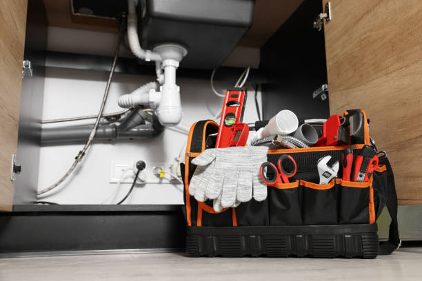 Best Plumbing Inspection Services  in Lake In The Hls, IL